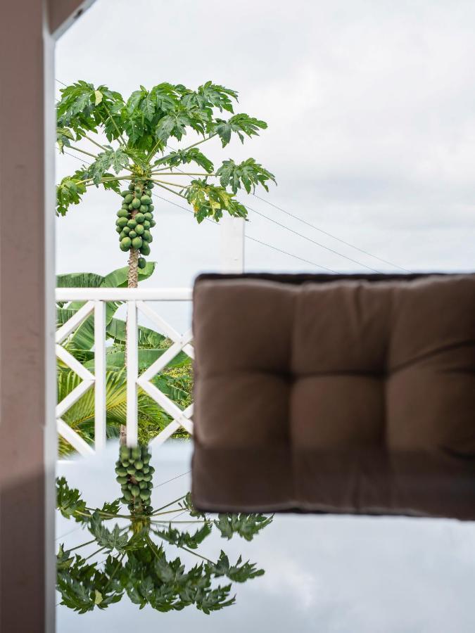 Villa Alizea Capesterre Zewnętrze zdjęcie